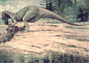 Apa Saja yang Dimakan oleh Dinosaurus Puluhan Juta Tahun yang Lalu?