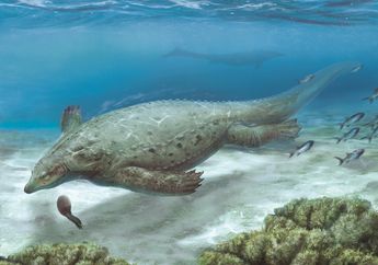 Temuan Reptil Laut Era Dinosaurus dari Tiongkok Buka Petunjuk Evolusi