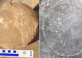 Fosil Telur Dinosaurus di India Ungkap Cara Titanosaurus Berkembang Biak