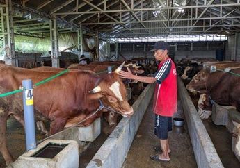 5 Arti Mimpi Rumah Kemasukan Sapi di Hari Idul Adha, Siap-siap Bakalan Dapat Banyak Rezeki!