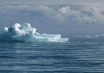 Perubahan Iklim, Laut Lebih Panas Empat Kali Lipat dalam Empat Dekade