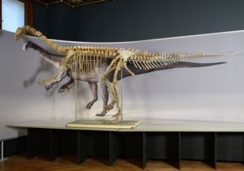 Studi Ungkap Dinosaurus Plateosaurus Gunakan Ekor sebagai Senjata Mematikan