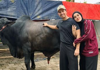 Kronologi Fairuz A Rafiq Diinjak Sapi Kurban Hadiah dari Raffi Ahmad, Begini Kondisi Istri Sonny Septian
