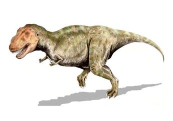 Seberapa Cepat Seekor Dinosaurus? Fosil Jejak Kaki Ungkap Jawabannya