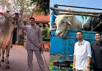 Sapi Kurban Irfan Hakim Laku Keras saat Idul Adha 2025, sang Artis Ungkap Rasa Syukurnya