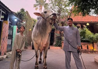 Selain Irfan Hakim, Inilah 4 Artis yang Jualan Hewan Kurban untuk Idul Adha, Ada Aziz Gagap hingga Fadil Jaidi