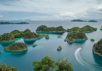 Terkuak! Profil 4 Perusahaan Pemilik Tambang Nikel di Raja Ampat, Ada Perusahaan dari China?