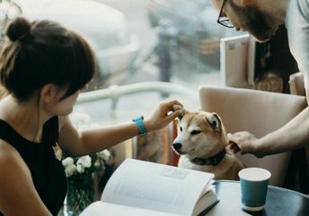 5 Rekomendasi Kafe Pet Friendly di Jogja yang Nyaman untuk Peliharaan