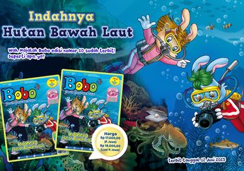 Sudah Terbit, Cari Tahu Keindahan Hutan Bawah Laut di Majalah Bobo Edisi 10 Tahun 53, yuk!