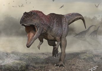 Apakah Lengan Kecil Dinosaurus Theropoda Benar-Benar Tidak Berguna?