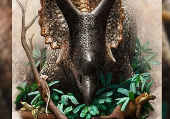 Mamalia Sudah Siap Kuasai Bumi Sebelum Asteroid Musnahkan Dinosaurus