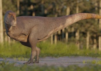 Koleken inakayali, Dinosaurus Karnivor dengan Tangan Lebih Kecil dari T-rex