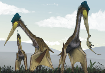 Hidup Bersama Dinosaurus, Bagaimana Cara Quetzalcoatlus Terbang?