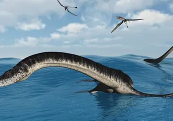 Benarkah Elasmosaurus Bukan Termasuk Dinosaurus Melainkan 'Hanya' Reptil?