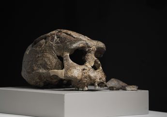 Masa Depan Homo sapiens Ada di Tangan Kita