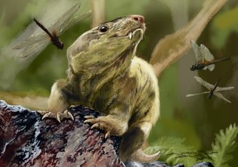 Bagaimana Cara Mamalia Purba Bersembunyi Agar Tak Dimangsa Dinosaurus?