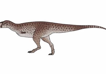 Penemuan Fosil Baru di Argentina Ungkap Keragaman Dinosaurus Abelisauroid