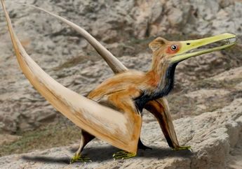 Jangan Keliru, 5 Hewan Purba ini Ternyata Bukan Dinosaurus