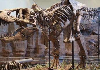 Ketika Fosil Dinosaurus T. rex Jadi Barang Mewah, Hambat Riset Ilmiah