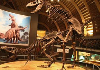 Bagaimana Dinosaurus Berhubungan Seks?