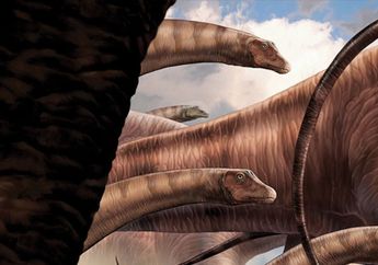 Apatosaurus, Dinosaurus 'Penipu' dan Alasan di Balik Namanya yang Kontroversial