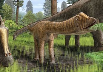 Dari Fosil Jadi Ikon: Kisah Dippy, Dinosaurus Diplodocus yang Menaklukkan Hati Dunia!