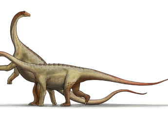 8 Dinosaurus Terbesar di Dunia, Siapa yang Paling Layak Dijuluki 'Titanosaurus Asli'