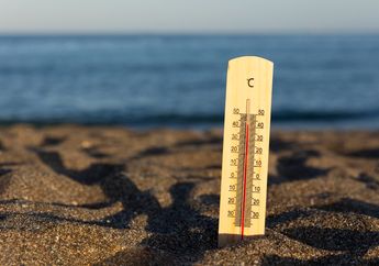 'Panggang' AS dengan Suhu Hingga 46 Derajat Celsius, Apa Itu Heat Dome?