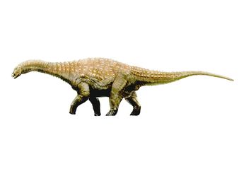 Fosil Langka di Australia Ungkap Pola Makan Dinosaurus Sauropoda