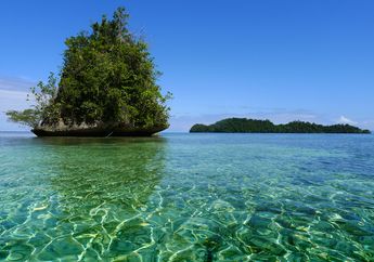 Pulau-Pulau Kecil Indonesia adalah Benteng Terakhir Konservasi