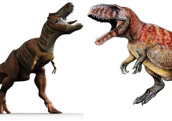 Jika Dinosaurus Predator T. rex dan Giganotosaurus Bertarung, Siapa yang Jadi Pemenangnya?