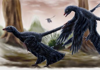 Microraptor, Dinosaurus Bersayap Empat yang Memukau Peneliti