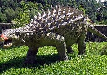 Bukan untuk Melawan Predator, untuk Apa Ekor Gada Milik Dinosaurus Ankylosaurus?