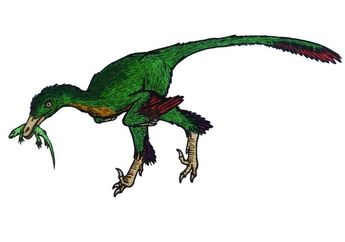 Sebagian Dinosaurus Memiliki Beragam Bulu, Apa Saja Kegunaannya?