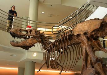 Sains Terbaru: Gambaran Dinosaurus dalam Film dan Buku Kini Dianggap Keliru