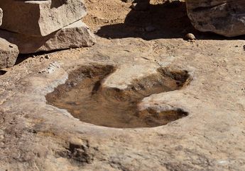 Apa Saja Rahasia Dinosaurus yang Dapat Diketahui dari Jejak Kakinya?