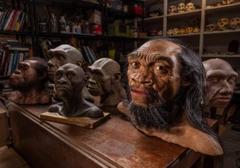 Dari Testis hingga Dagu, Mengapa Bagian Tubuh Ini Sulit Dijelaskan oleh Evolusi?