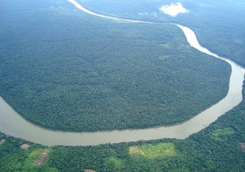 Ekosistem Hutan Amazon Terancam Hancur Sebelum 2050 akibat Krisis Iklim