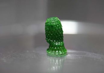Laiknya Pohon, Material Ini Sanggup Serap Karbon Langsung dari Udara dan Juga Tumbuh