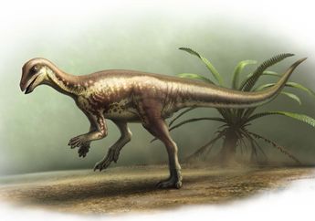 Temuan Dinosaurus Kecil di Kolorado Bantu Pecahkan Misteri Taksonomi Purba