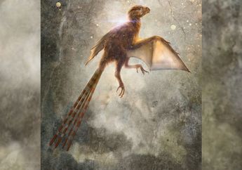 Ambopteryx longibrachium, Dinosaurus Langka yang Punya Sayap Kelelawar