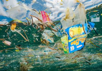 Mengenal 'Kolonialisme Sampah' dan Alasan Thailand Melarang Impor Sampah Plastik