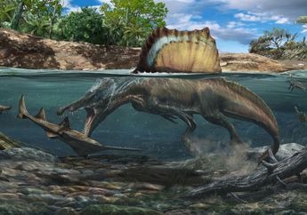 Kemunculan Kembali Spinosaurus di Jurassic World Rebirth Rusak Keganasan Sang Dinosaurus?