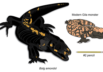 Bolg amondol, Kadal Raksasa yang Pernah Hidup pada Zaman Dinosaurus