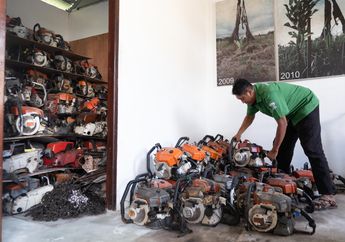 Dari Ganasnya Gergaji ke Manisnya Madu, Kisah Inspiratif dari Program Chainsaw Buyback