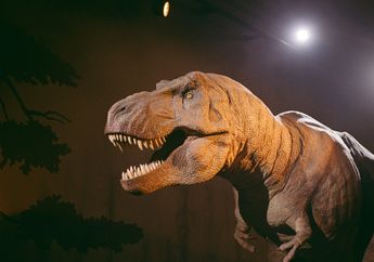 Studi Ungkap Struktur Ekosistem Dinosaurus pada Zaman Kapur Akhir