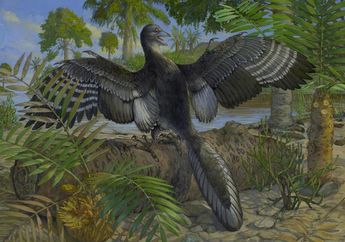 Ilmuwan Singkap Dinosaurus Pertama yang Menggunakan Bulu untuk Terbang