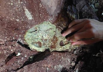 Kematian Massal Amfibi Raksasa pada Zaman Dinosaurus Bingungkan Ilmuwan