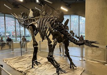 Hampir Setara Dana Pendidikan Indonesia, Inilah Fosil Dinosaurus Termahal di Dunia