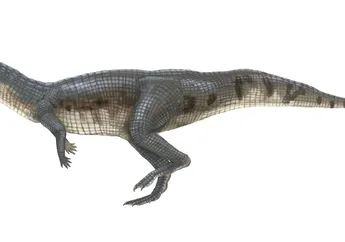 Siapakah yang Lebih Dahulu Menguasai Bumi Sebelum Dinosaurus?